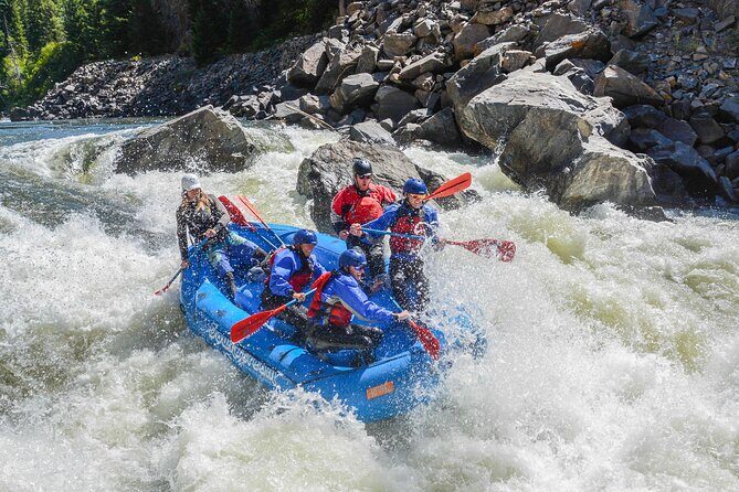 Gore Canyon Advanced Whitewater Rafting Adventure - Key Points