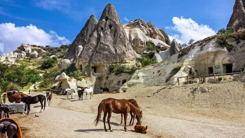 Göreme: Private Camel Tour, Pottery, Horse Ride w/Lunch - Why This Tour Is a Great Choice