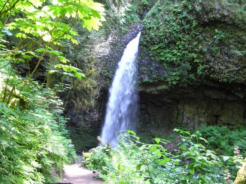 Gorge Explorer - Multnomah Falls & Beyond - PDX08 - Beyond Multnomah: Exploring the Gorge