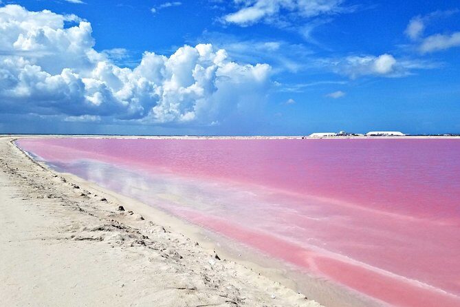 Gorgeous Natural Pink Lake, Las Coloradas Tour! From Cancun & Riviera Maya - Key Points