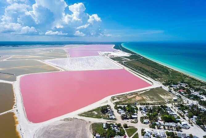Gorgeous Natural Pink Lake, Las Coloradas Tour! From Cancun & Riviera Maya - The Sum Up