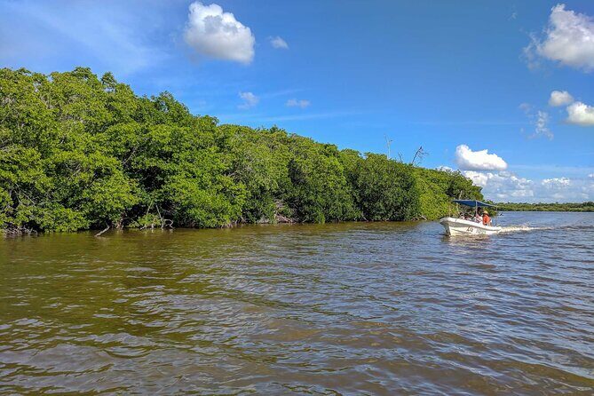 Gorgeous Natural Pink Lake, Las Coloradas Tour! From Cancun & Riviera Maya - FAQs