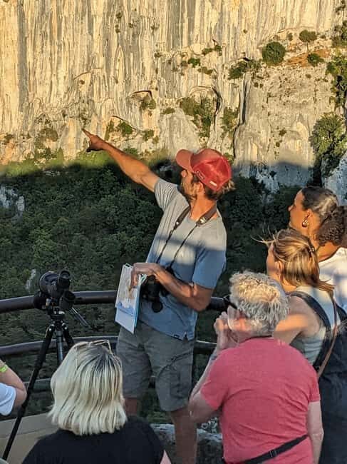 Gorges du Verdon: Watching vultures - Exploring the Vulture Watching Tour in the Verdon Gorge