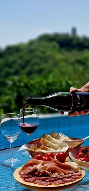 Gorika Brda: Wine Tasting with Local Snacks - The Practicalities: What You Need to Know