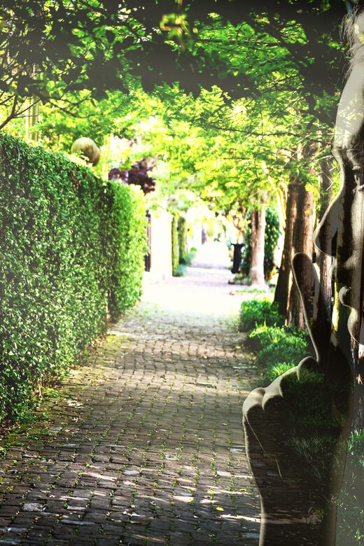 Gossip & Grandeur: A Stroll Through NOLAs Garden District - What To Expect: Practical Considerations