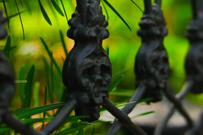 Gossip & Grandeur: A Stroll Through NOLAs Garden District - Value for Money