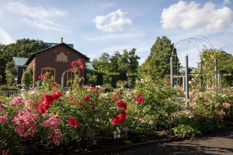 Gothenburg: Guided Walking Tour of the Main Landmarks - A Deep Dive into the Gothenburg Guided Walking Tour