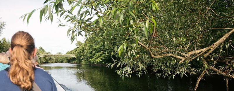 Gothenburg: Paddan Sightseeing Cruise on the River Säveån - Key Points