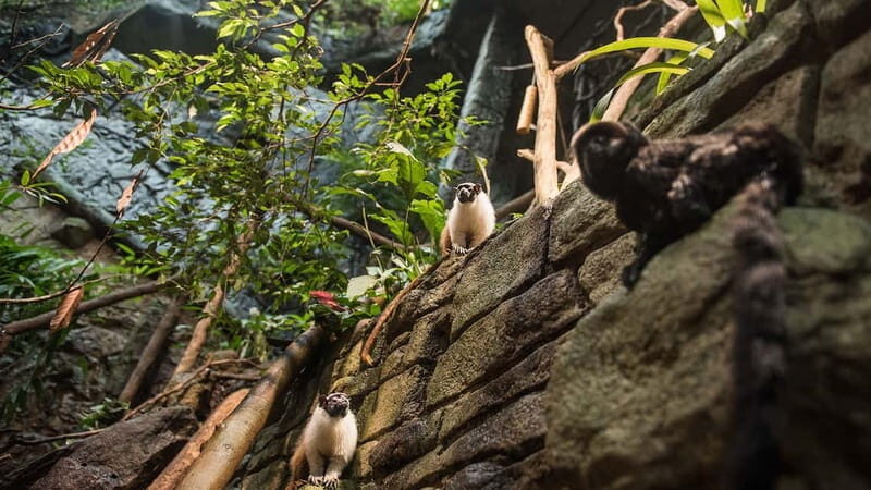 Gothenburg: Universeum Entry Ticket - Gothenburg: Universeum Entry Ticket — A Deep Dive into Sweden’s Interactive Science Centre