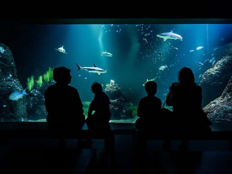 Gothenburg: Universeum Entry Ticket - A Full Breakdown of Your Universeum Experience