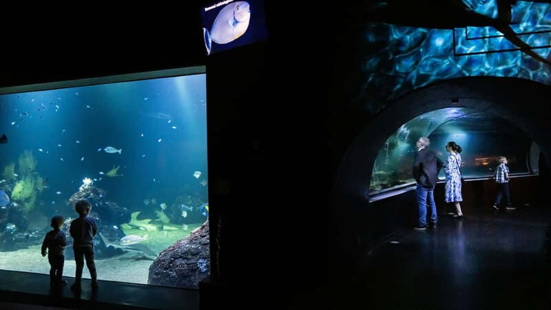 Gothenburg: Universeum Entry Ticket - Who Should Visit Universeum?