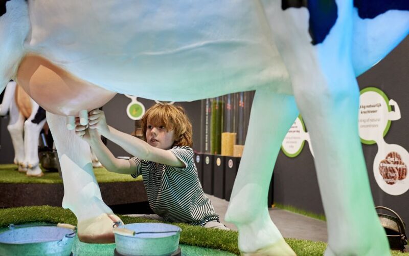 Gouda: Gouda Cheese Experience Entry Ticket - The Sum Up