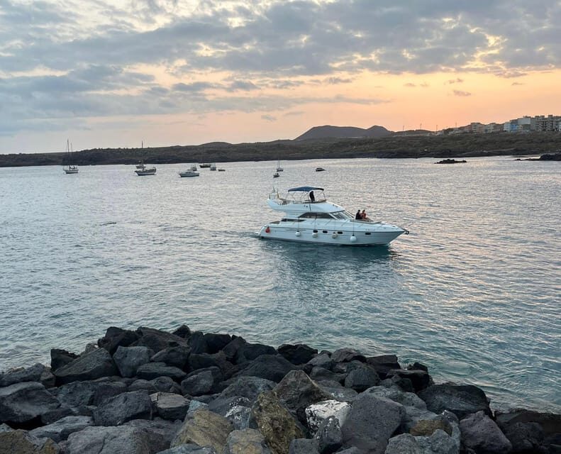 Gourmet cruise at sunset with whale watching - Gourmet cruise at sunset with whale watching: A detailed review