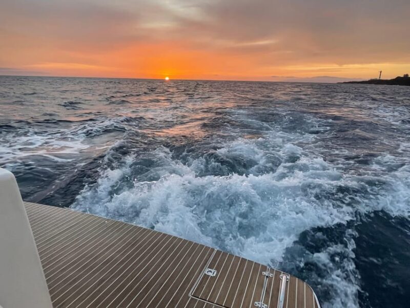 Gourmet cruise at sunset with whale watching - Key Points