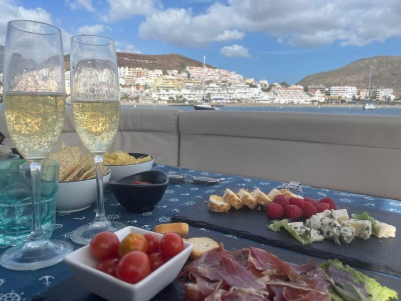 Gourmet cruise at sunset with whale watching - What’s not included and important considerations