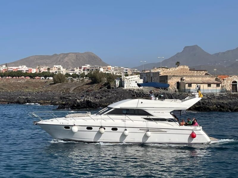 Gourmet cruise at sunset with whale watching - Who is this cruise best for?