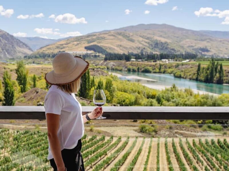 Gourmet Food and Wine Tour with Lunch and Wine Tastings - Key Points