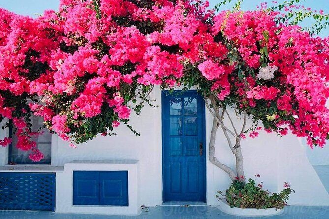 Gourmet Journey: 12-Course Lunch, Wine Tasting & Culinary Session - Key Points