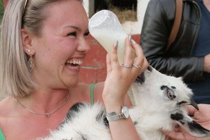 Gourmet Lunch Farm Tour with Cooking Class - Final Thoughts: Who is This Tour Best For?