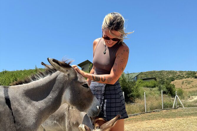 Gourmet Lunch Farm Tour with Cooking Class - FAQ