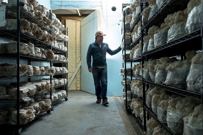 Gourmet Mushroom Farm Tour in Tennessee - What to Expect at Each Stop