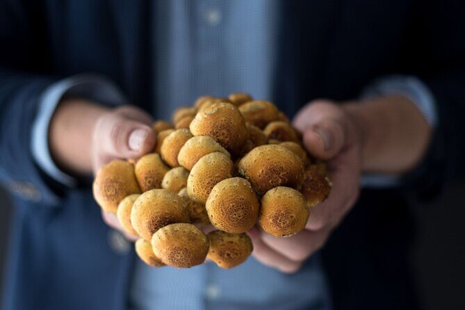 Gourmet Mushroom Farm Tour in Tennessee - Analyzing the Value