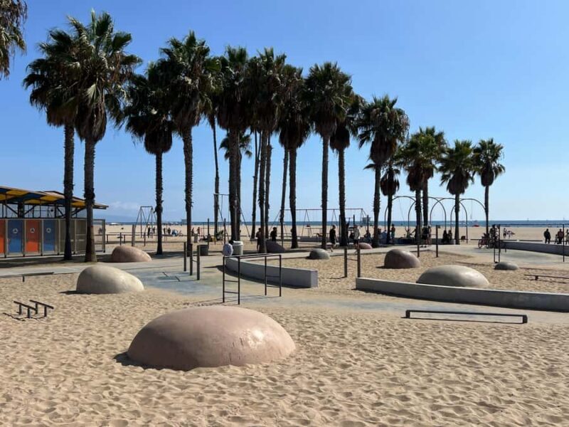 Gourmet Santa Monica Walking Food Tour with Delicious Dish - Who Should Book This Tour?