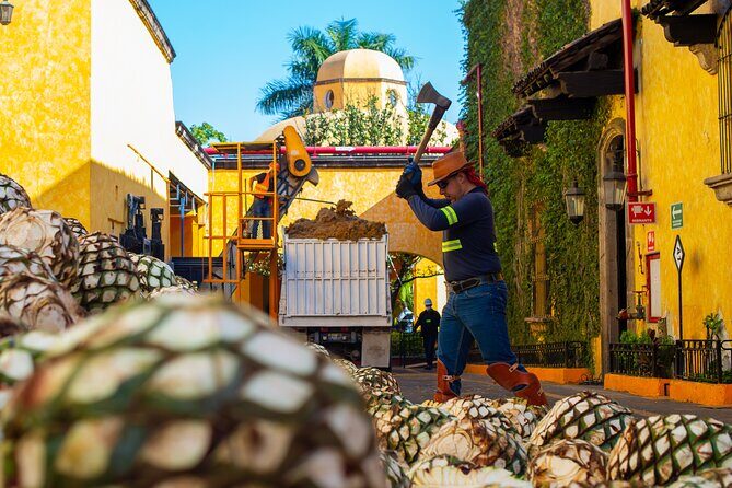 Gourmet tequilero - The Experience’s Strengths and Considerations