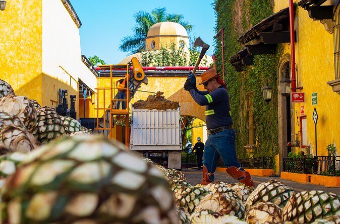 Gourmet tequilero - Who Should Book This Tour?