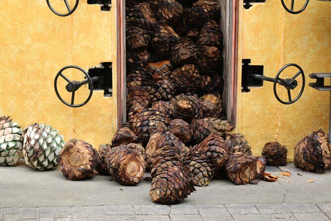 Gourmet tequilero - The Sum Up