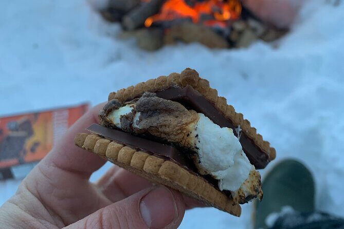 Gourmet Tour in Montreal 4 Must-See Meals - The Sum Up