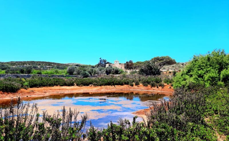 Gozo Unveiled: Guided Hiking in Comino Island - The Itinerary in Detail
