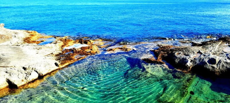 Gozo Unveiled Hiking: A Guided Hike tour in Gozo- North East - The Flora and Fauna of Gozo