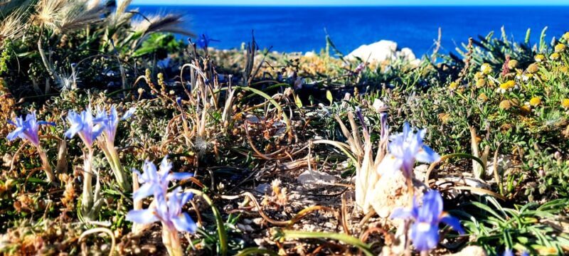 Gozo Unveiled Hiking: A Guided Hike tour in Gozo- North East - Practical Details: Transportation, Timing, and Group Size