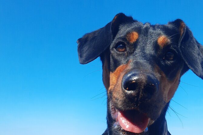 Gozo Unveiled - Hiking in Gozo - An In-Depth Look at the Experience