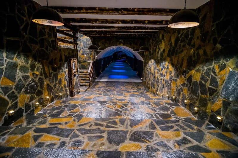 Graani: Winery Tour and Tasting at Winery Lipovac - A Closer Look at the Lipovac Winery Tour