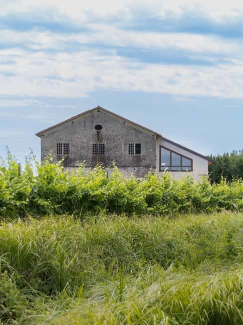 Grado: Journey into Ceramics with Tour & Wine Tasting - Worth It? The Value Perspective