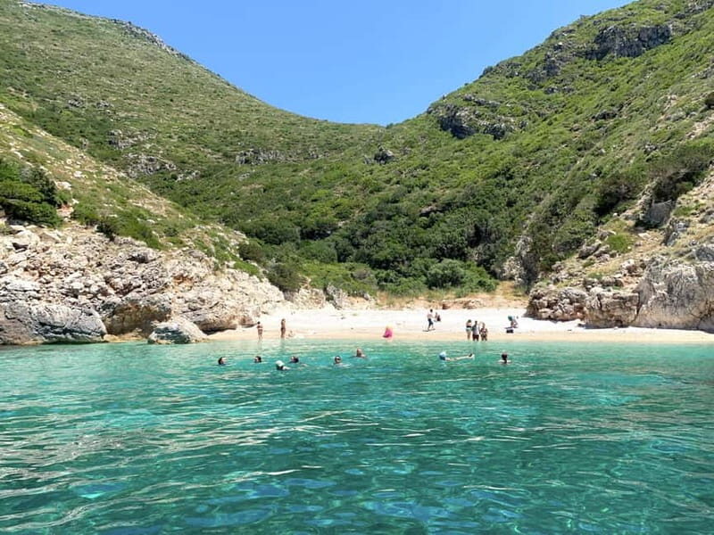 Grama Bay Speedboat Tour Vlore - Authentic Feedback from Travelers