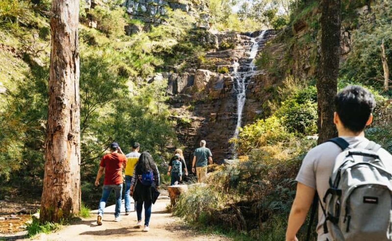 Grampians National Park Small-Group Eco Day Tour - Key Points