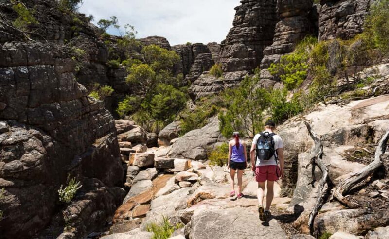 Grampians National Park Small-Group Eco Day Tour - Who Would Love This Tour?