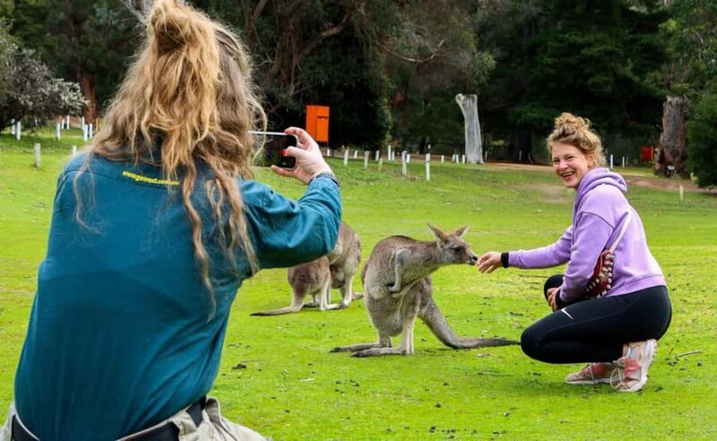 Grampians National Park Small-Group Eco Day Tour - Final thoughts