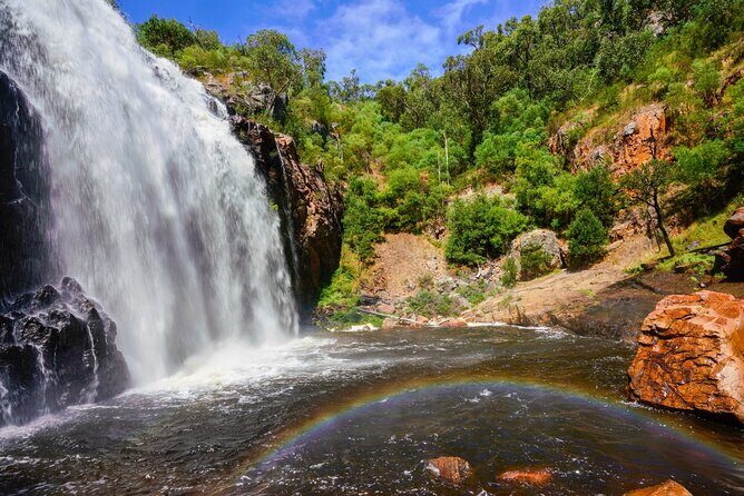 Grampians National Park Small-Group Eco Tour from Melbourne - What Makes This Tour Stand Out?