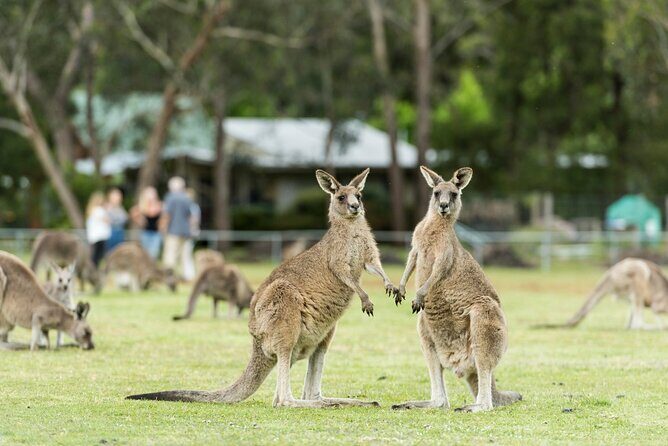 Grampians National Park Small-Group Eco Tour from Melbourne - Final Thoughts