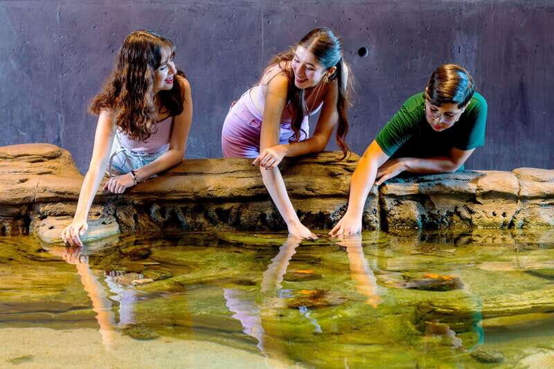 Gran Acuario Mazatlan - FAQ