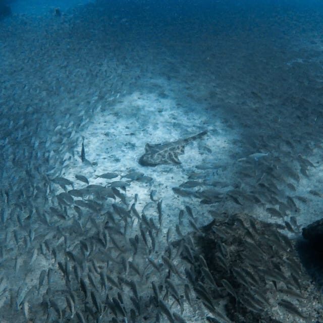 Gran Canaria: 3-Day Open Water Diver Course - Who This Experience Is Best For