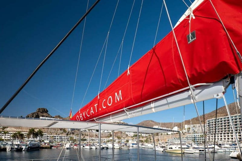 Gran Canaria: All-inclusive tour in the south of Gran Canaria - The Sum Up