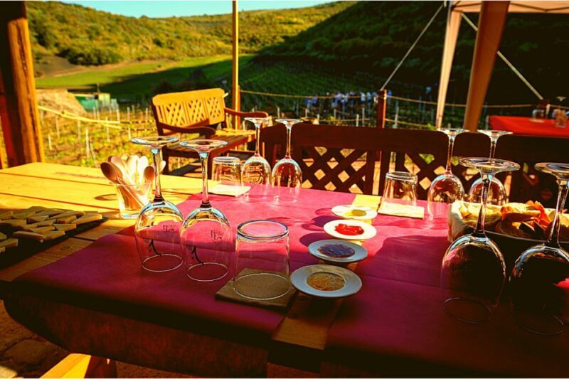 Gran Canaria: Best Wineries and Views Tour - FAQ