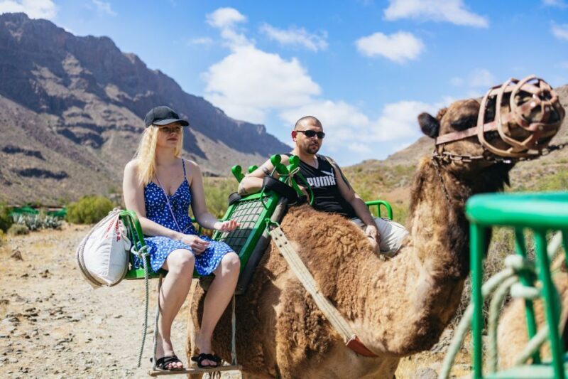 Gran Canaria: Camel Ride Safari w/ Optional Food & Transport - Exploring the Experience in Detail
