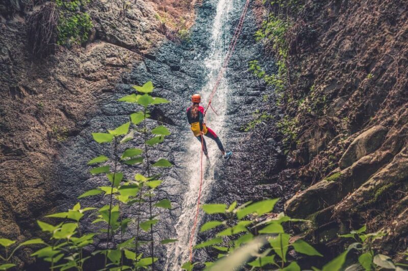 Gran Canaria: Canyoning in the Rainforest - The Allure of Canyoning in Gran Canaria