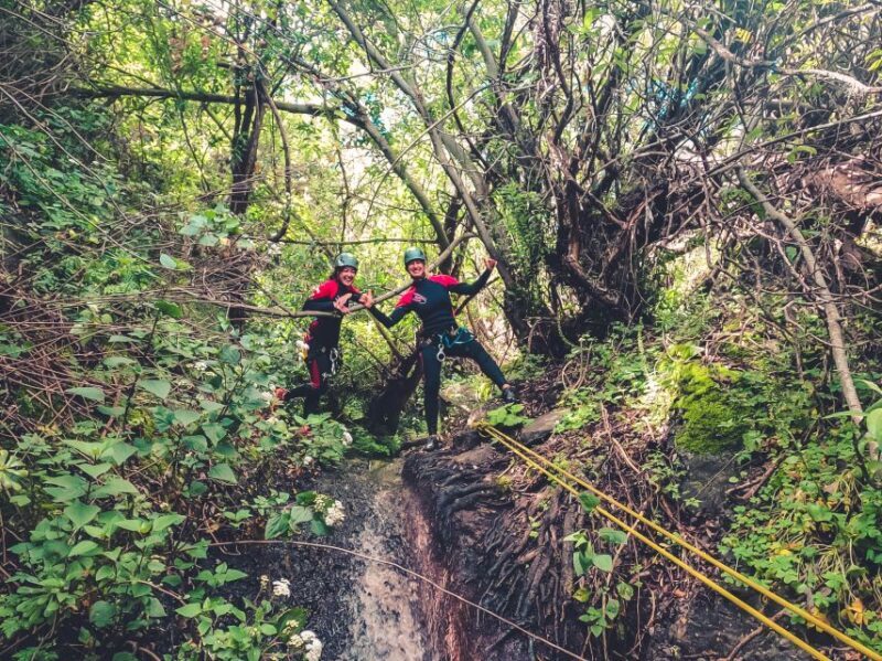 Gran Canaria: Canyoning in the Rainforest - What to Expect During the Day